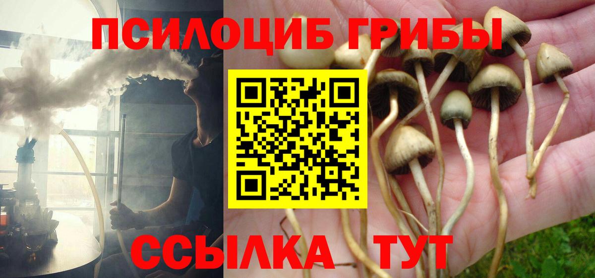 Галлюциногенные грибы мицелий Острогожск